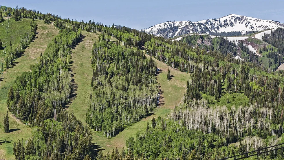 deer valley ski slopes summer