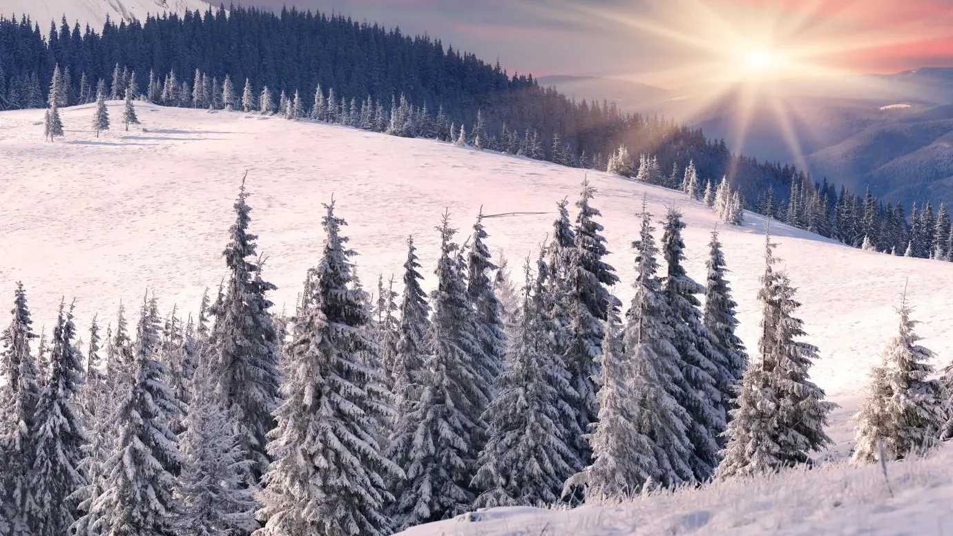 beautiful luxury home