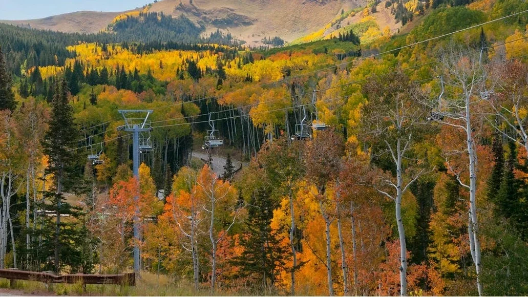 Canyons Village with fall colors