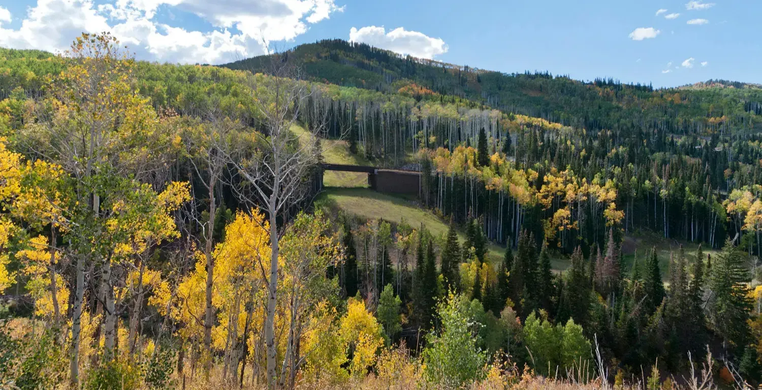 Summer Ski Runs in The Colony in Park City Utah