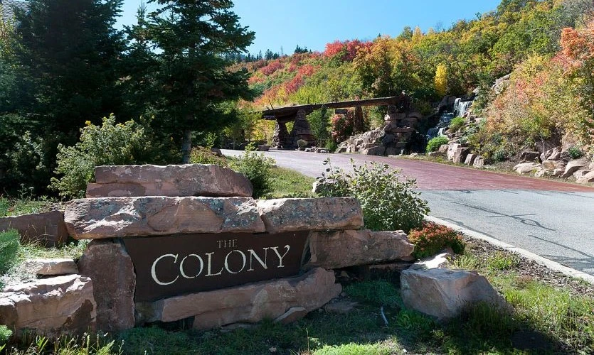 The Colony at White Pine real estate