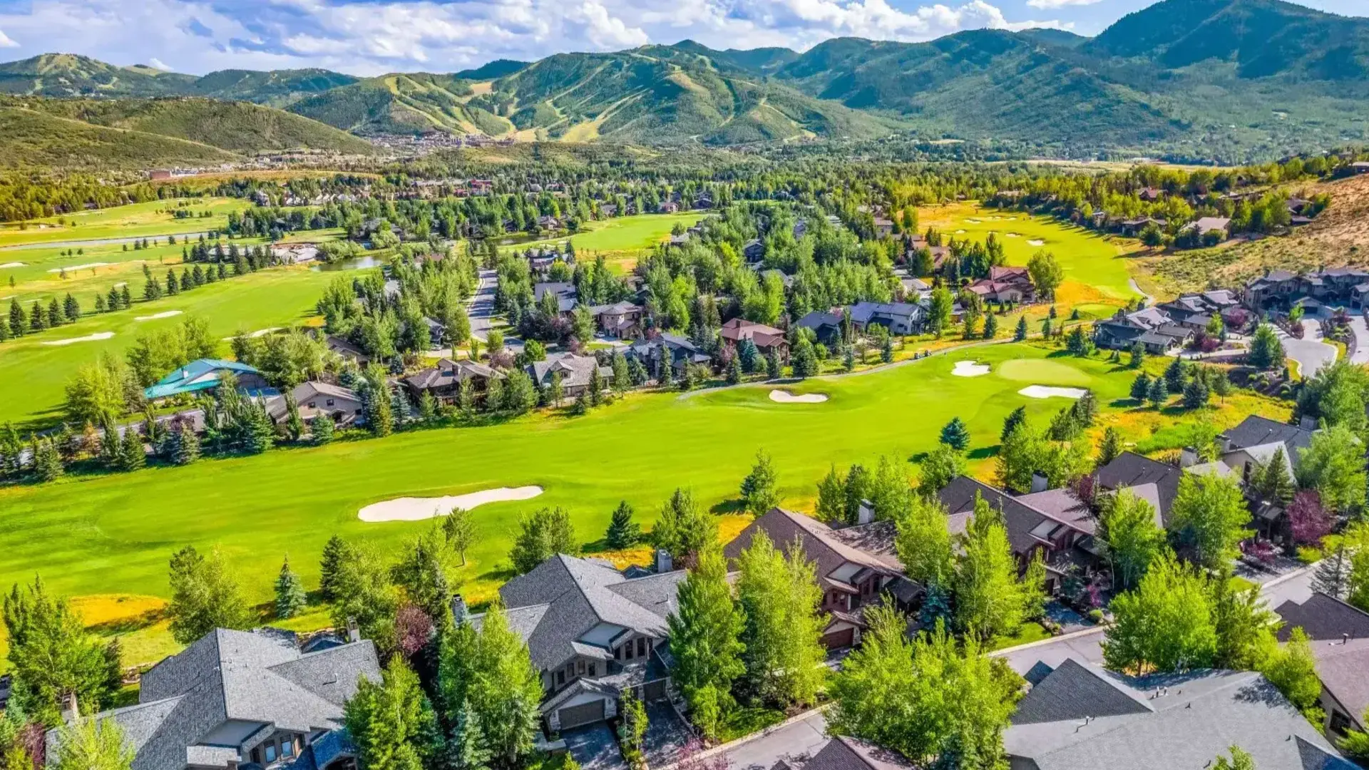 Park Meadows Homes for Sale