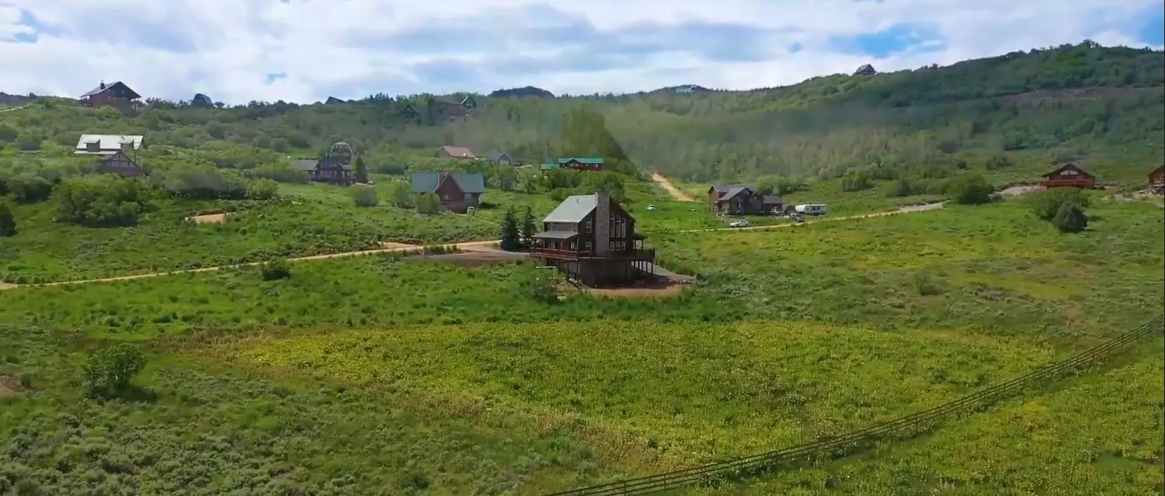 Winter Trees in Timber Lakes Heber City